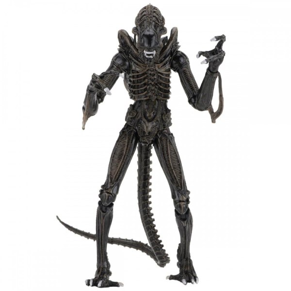 ALIENS – ACTION FIGURE – ULTIMATE ALIENS WARRIORS