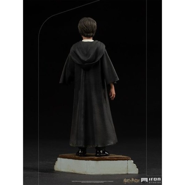 Harry Potter und der Stein der Weisen Art Scale - Harry Potter