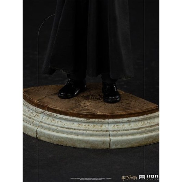 Harry Potter und der Stein der Weisen Art Scale - Harry Potter