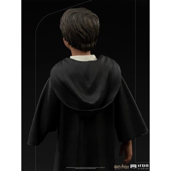 Harry Potter und der Stein der Weisen Art Scale - Harry Potter