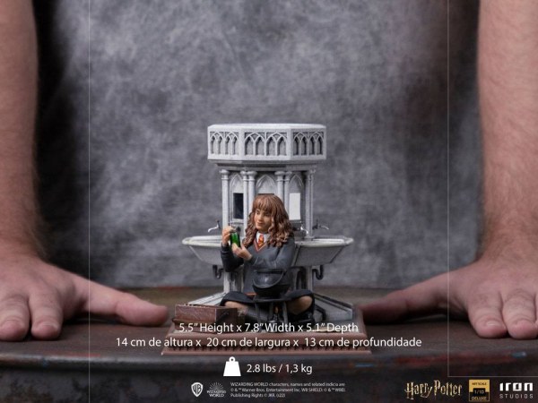 Hermione Granger Polyjuice Art Scale Deluxe - Harry Potter