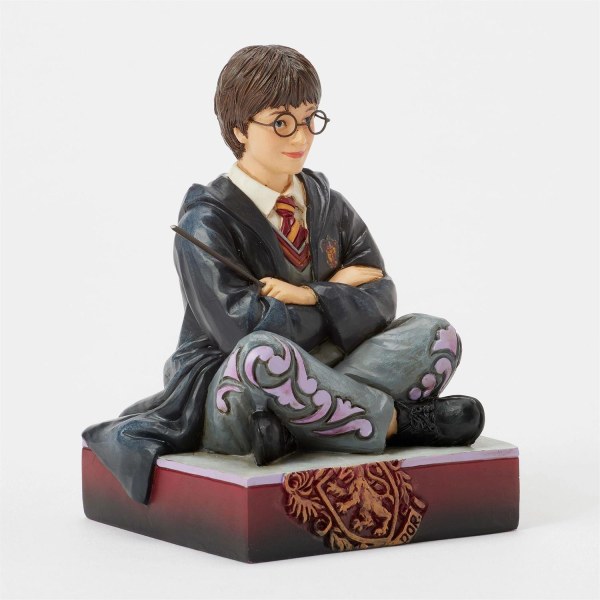 Harry Potter mit Zauberstab - Harry Potter