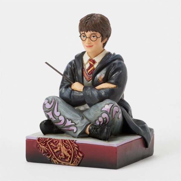 Harry Potter mit Zauberstab - Harry Potter