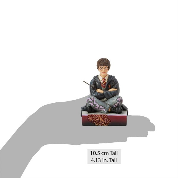 Harry Potter mit Zauberstab - Harry Potter