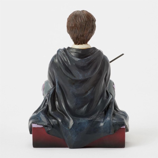 Harry Potter mit Zauberstab - Harry Potter