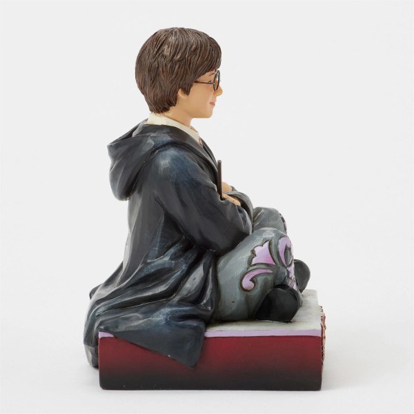 Harry Potter mit Zauberstab - Harry Potter
