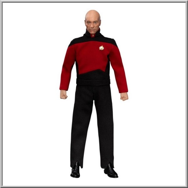 Star Trek: Treffen der Generationen 8-Zoll-Figur Jean-Luc Picard
