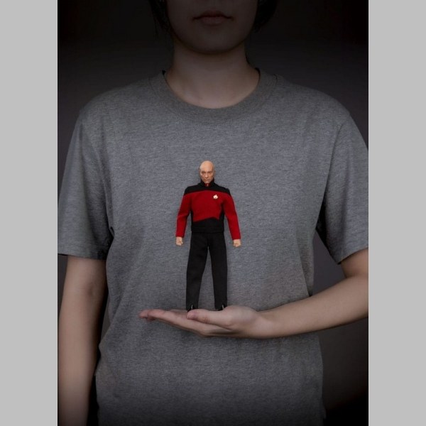 Star Trek: Treffen der Generationen 8-Zoll-Figur Jean-Luc Picard