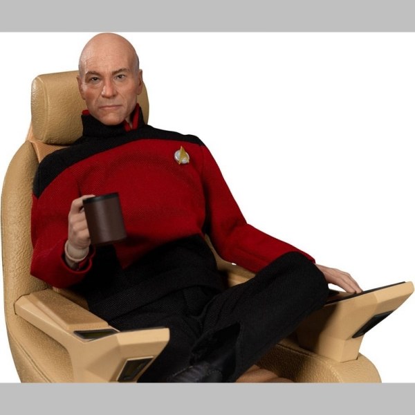 Star Trek: Treffen der Generationen 8-Zoll-Figur Jean-Luc Picard