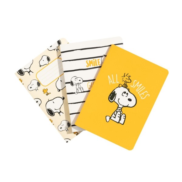 Faulenzer-Set, 3 A6-Notizbücher – Erdnüsse