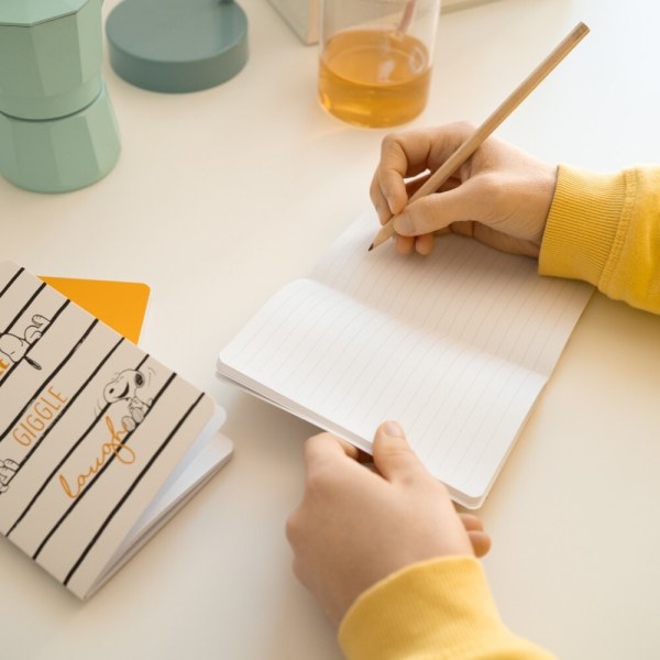 Faulenzer-Set, 3 A6-Notizbücher – Erdnüsse