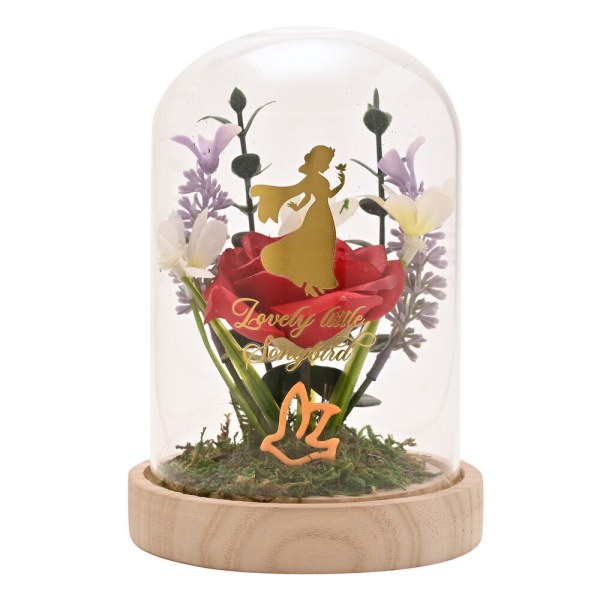 Dekorative und beleuchtete Schneewittchen -Glasglocke – Disney Pastel Princess