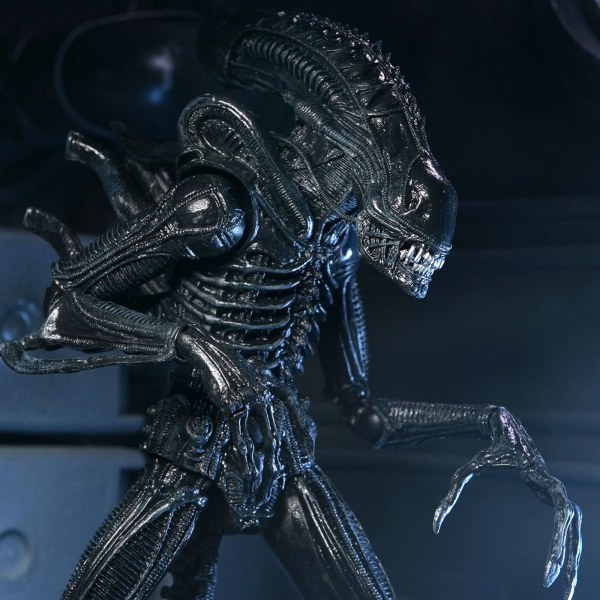 ALIENS - 7" SCALE ACTIONFIGUR - 40. JAHRESTAG ULTIMATE WARRIOR XENOMORPH (SCHWARZ)