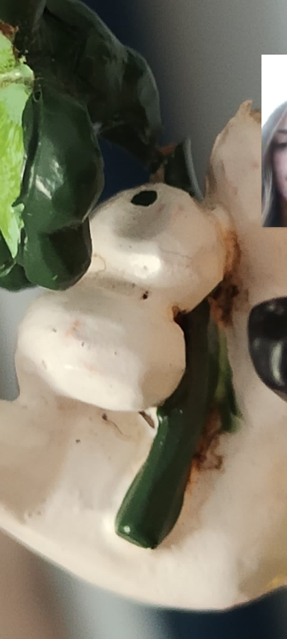 Kundenfoto